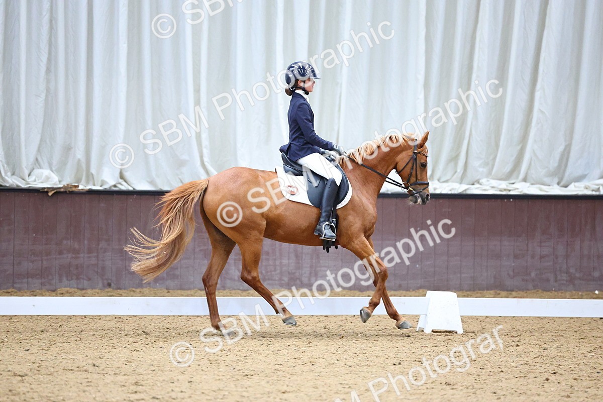 SBM_003982 - Novice 2