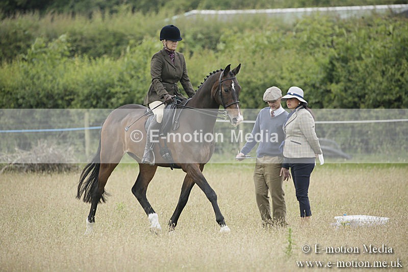B230619-0327 - Bourne Valley Riding Club Summer Show 23/06/19
