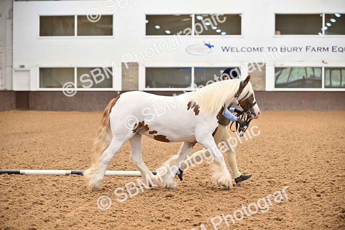 SBM_000013 - Class 1 - In Hand Cob