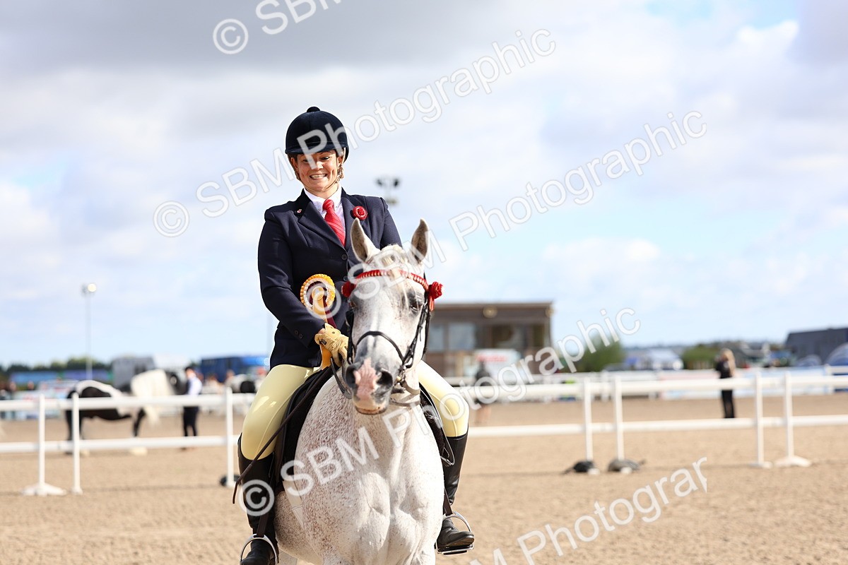 SBM_09181 - Class 303 - Ridden Pure Bred Horse Pony
