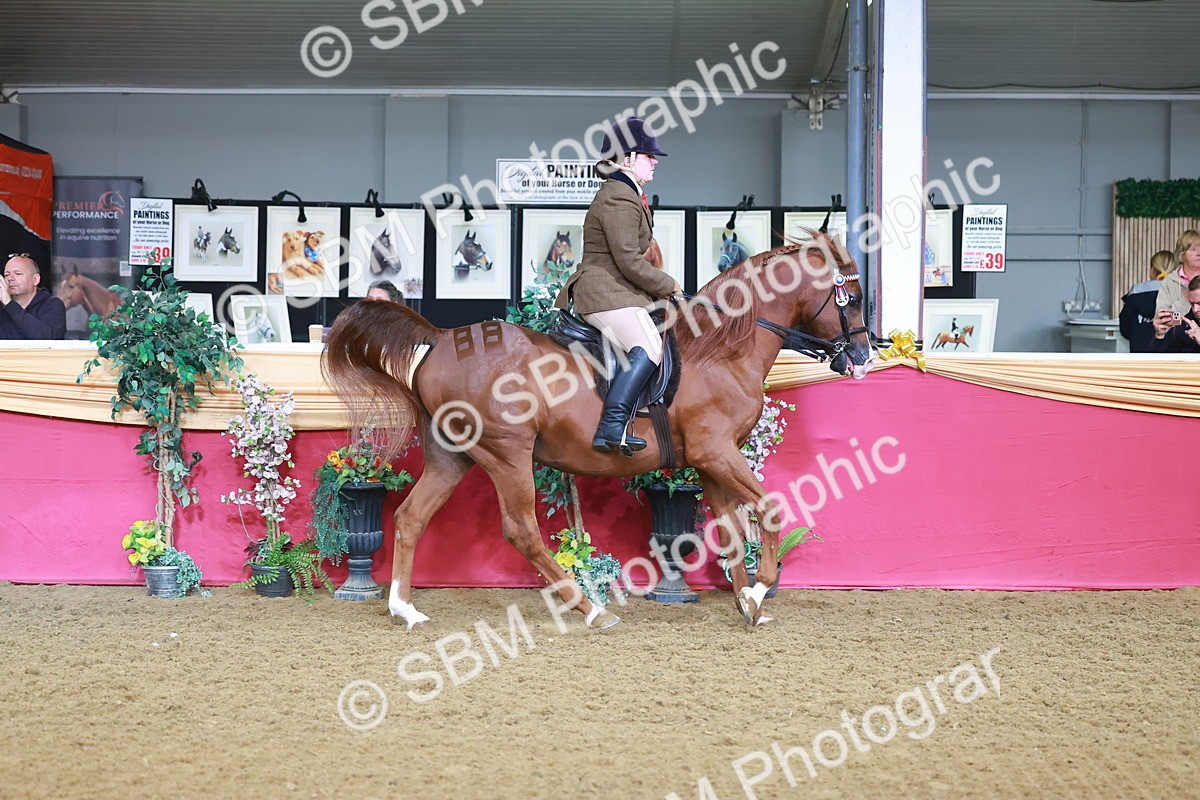 SBM_07622 - Class 101 - HOYS Veteran Qualifier - Ridden Diamond