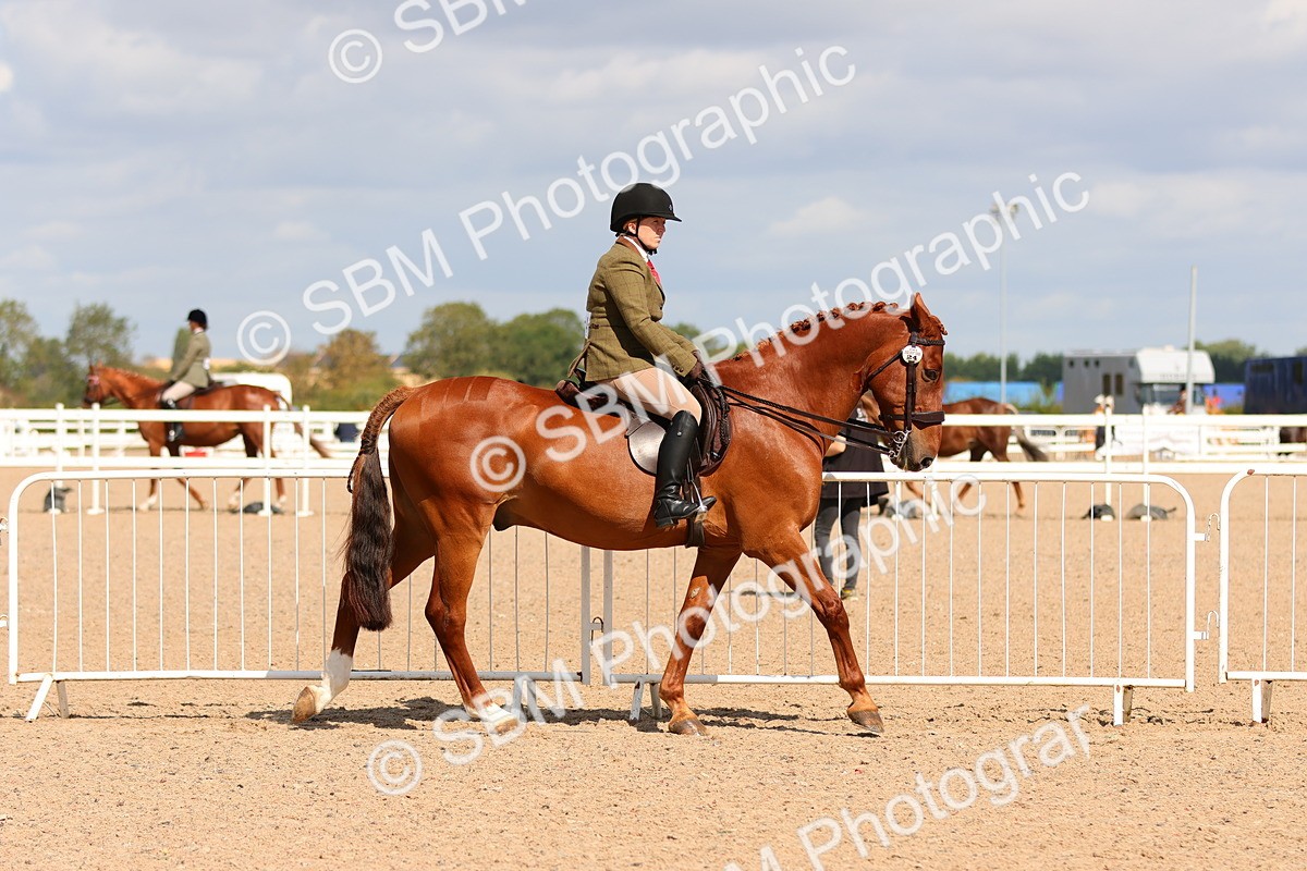 SBM_13161 - Class 211 - Ridden Hunter - Small
