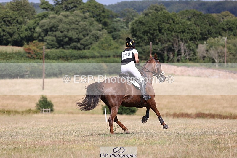 250802A-161340-07496 - E-210-Rose.Partridge-RUGGIERO