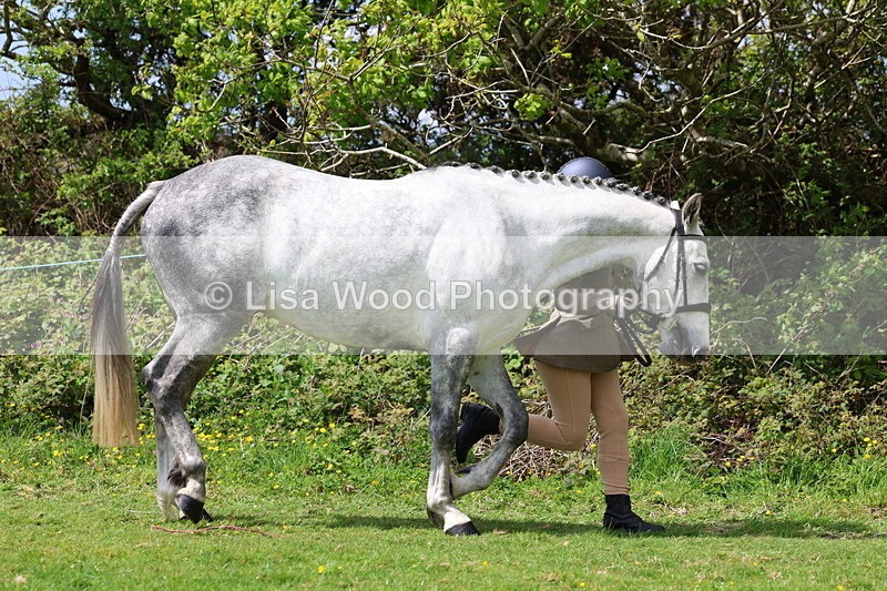 3E7A0449 - Class 20: Sports Horse