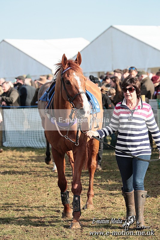 PtP 010325 397 - Beaufort Races Didmarton 01/03/25