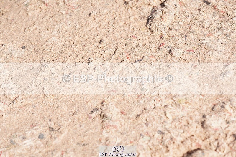 250510-092054-10037 - Cls 14 Snr 1.20m Open