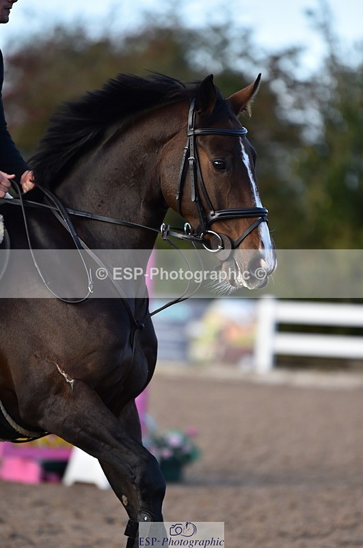 231014A-093238-03718 - Cls 12 British Novice & 90cm Open