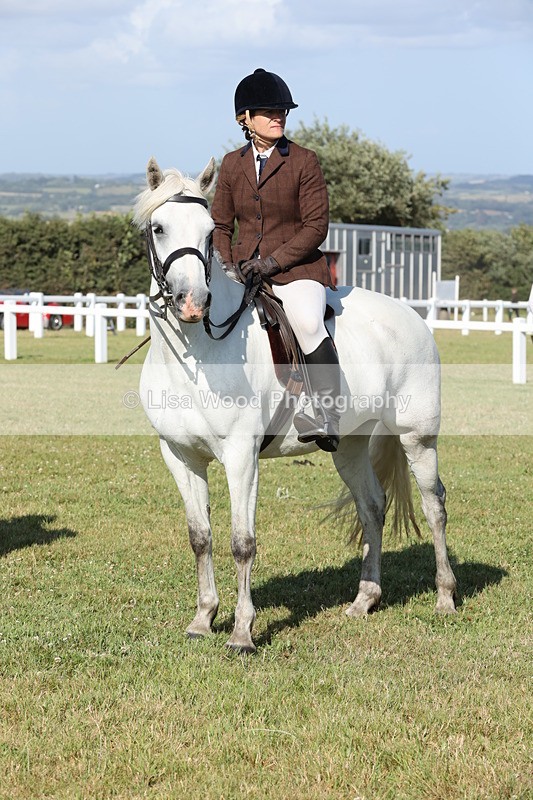 JPP_3030 - Class 20: Working Hunter 70cm