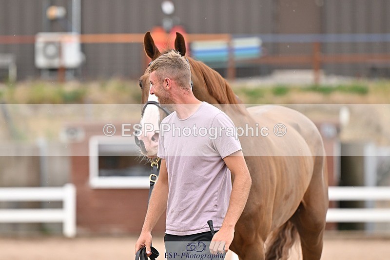 250716-161008-02484 - Trot Up 3.30 to 4.30