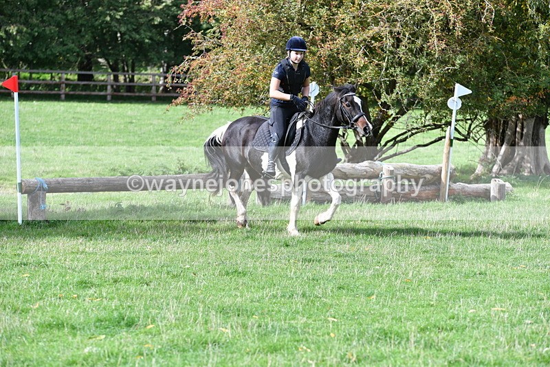 WJ5_8417 - Time 12:02 to 12:32