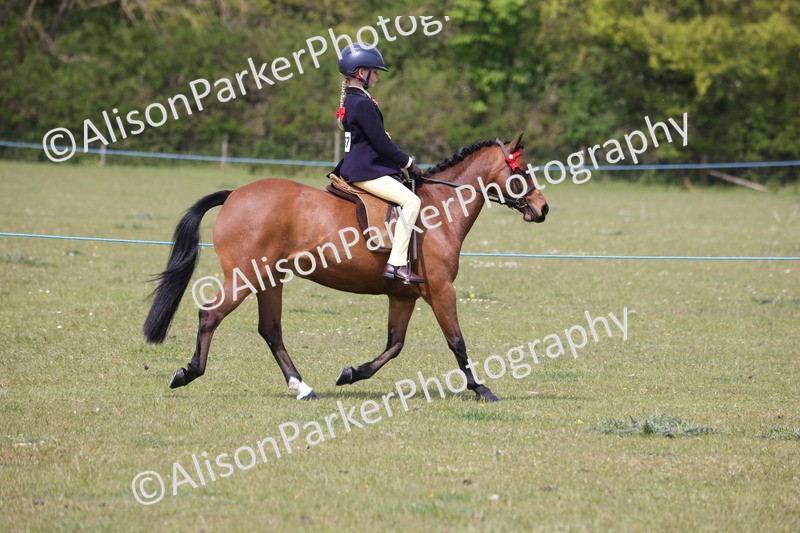 20260426-4038 - Class 33 - Best Pony 14.2hh and Under