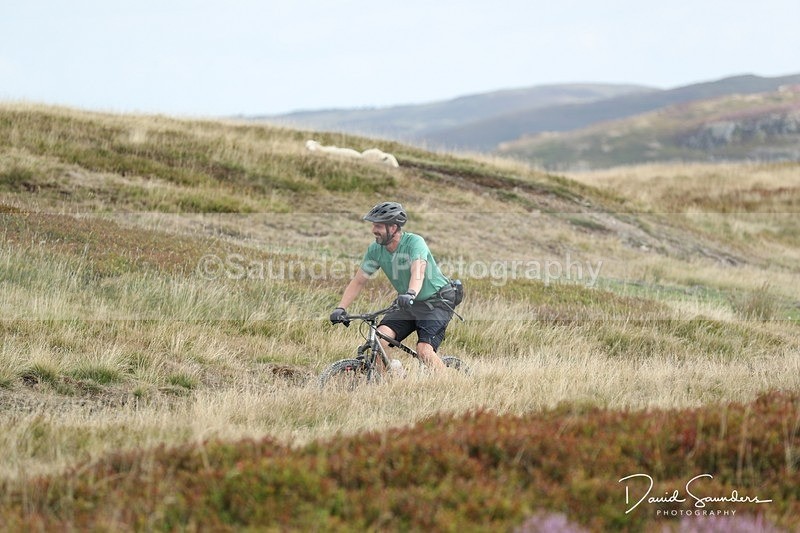 SPXX0302 - Mountain biker