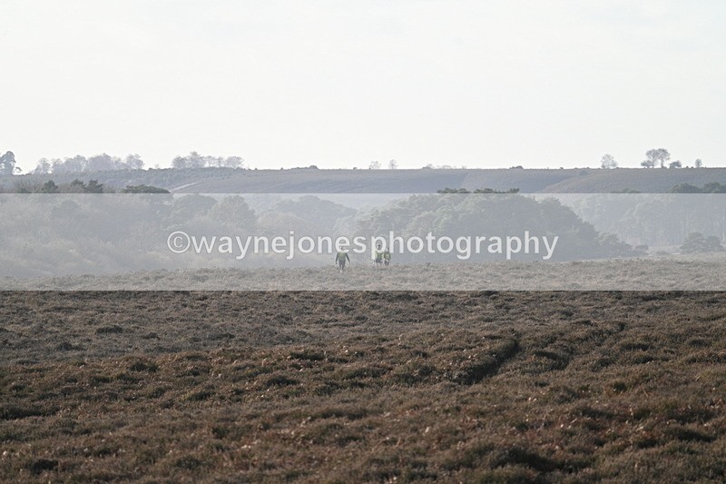 WJ7_7846 - Line 3 (no line 4 or 5)