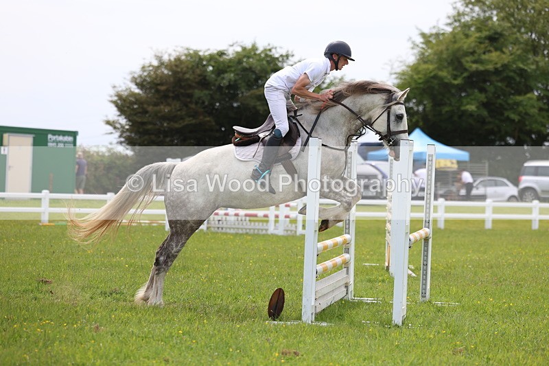 3E7A1633 - Class 13: Senior British Novice/90cm open