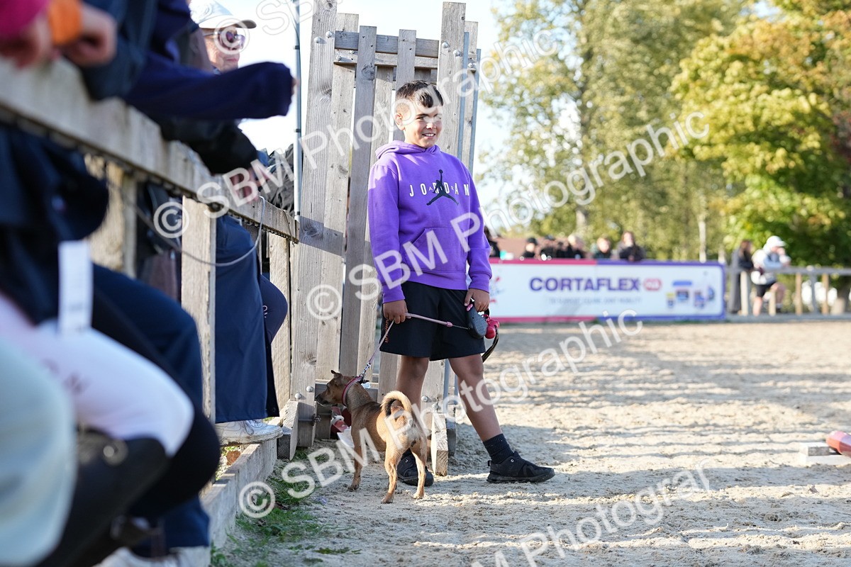 SBM_29076 - J43 - Horse & Hound Open 50cm