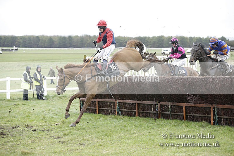 PtP 150320 0225 - New Forest Point-to-Point Larkhill 15/03/20