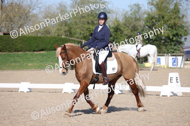 20250405-0254 - Class 11 - My Quest Novice 3