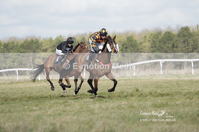 PtP 260223 446 - South & West Wilts Point-to-Point Larkhill 26/02/23