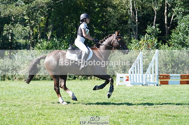 240811A-161542-06241 - 409-