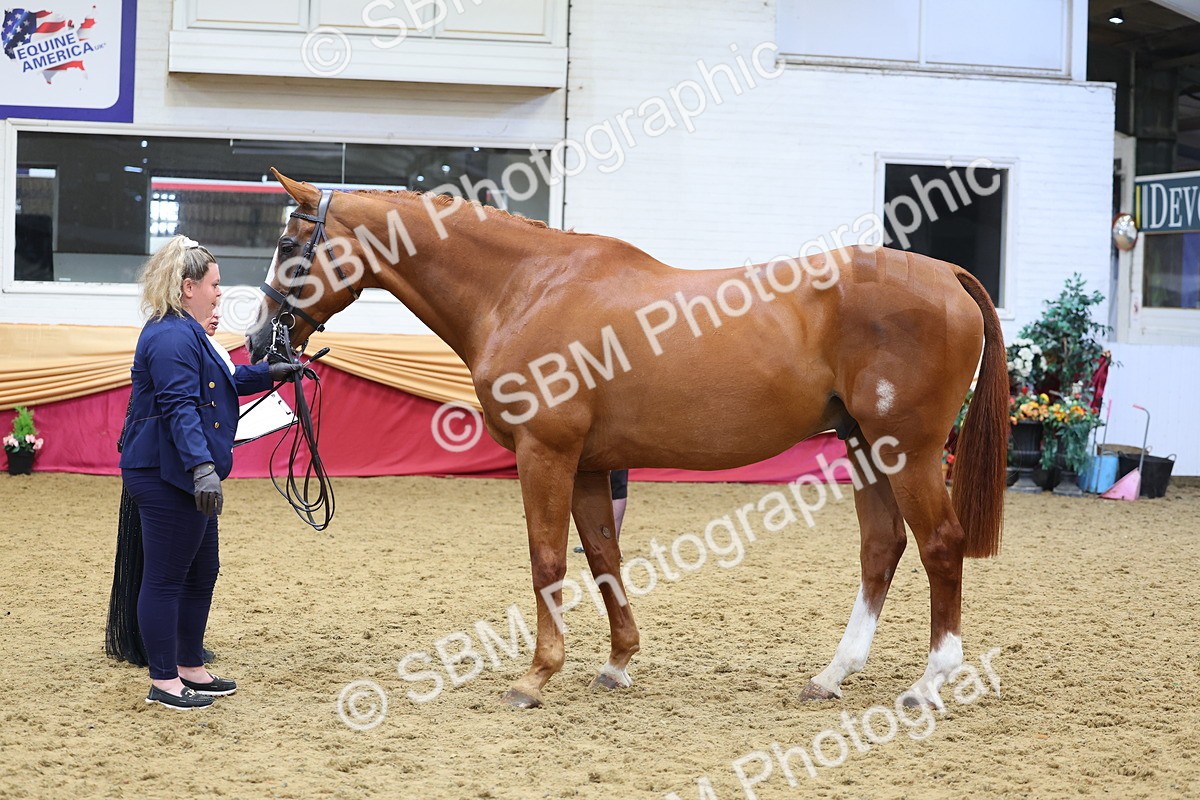 SBM_22887 - Class 903 - Supreme Final - IH Pre Vet