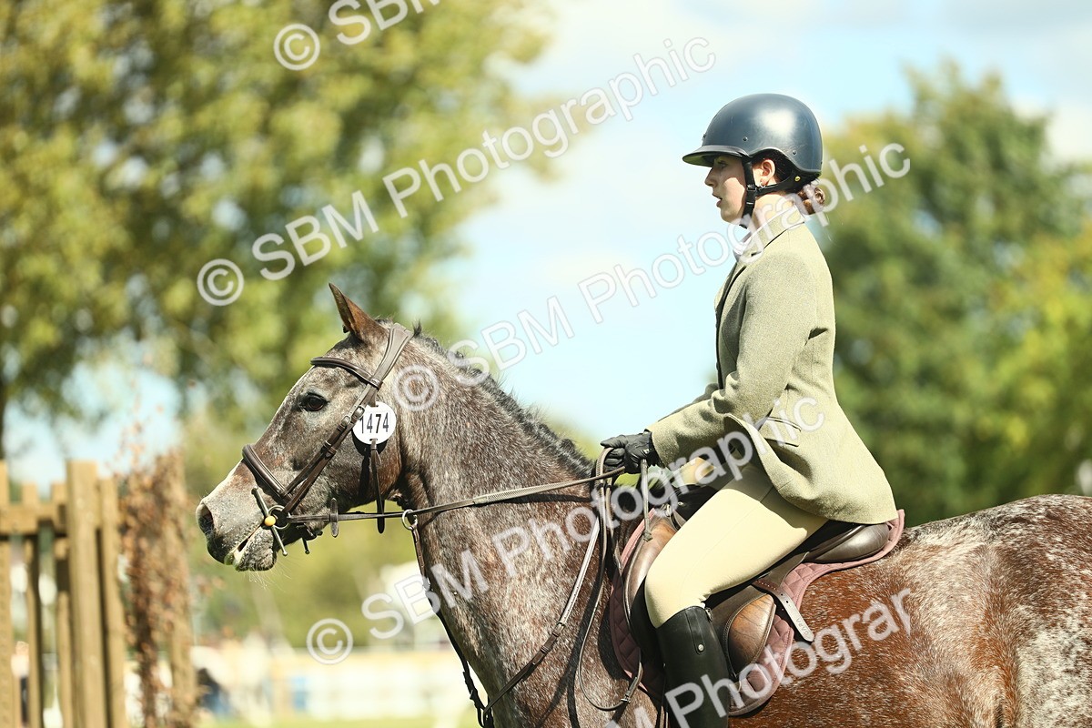 SBM_42142 - S29 - Novice & Newcomers Working Hunter Pony