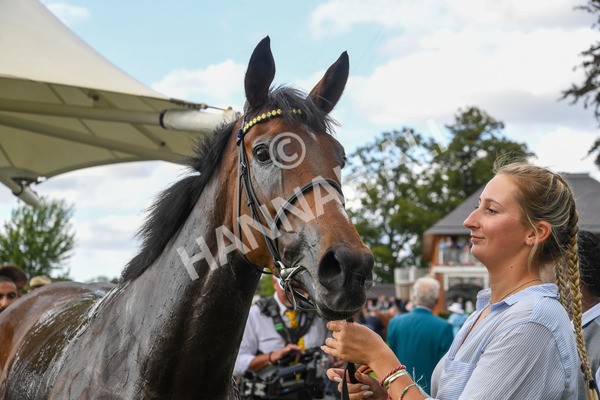 240823-Race 5-Sea Theme-0598 - Race 5 4.10pm British EBF & Sir Henry Cecil Galtres Stakes