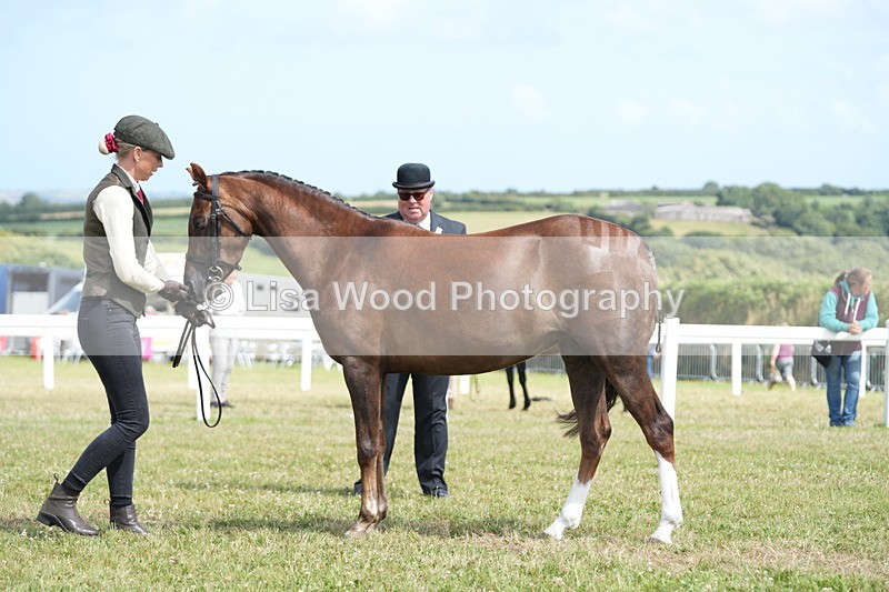 DSC07437 - Class 70: NPS SHP 4 years and over