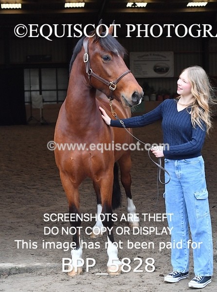 BPP_5828 - Marion West pony 3