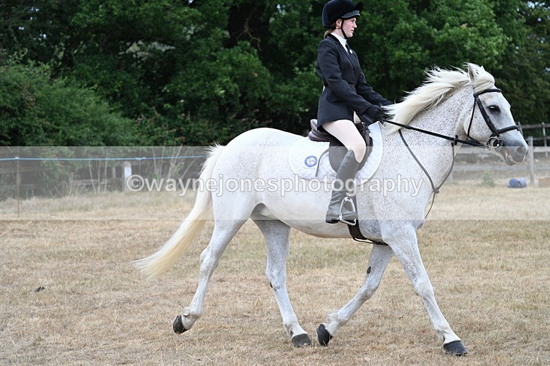 WJ7_0951 - Class 7 Riding Club Show Horse