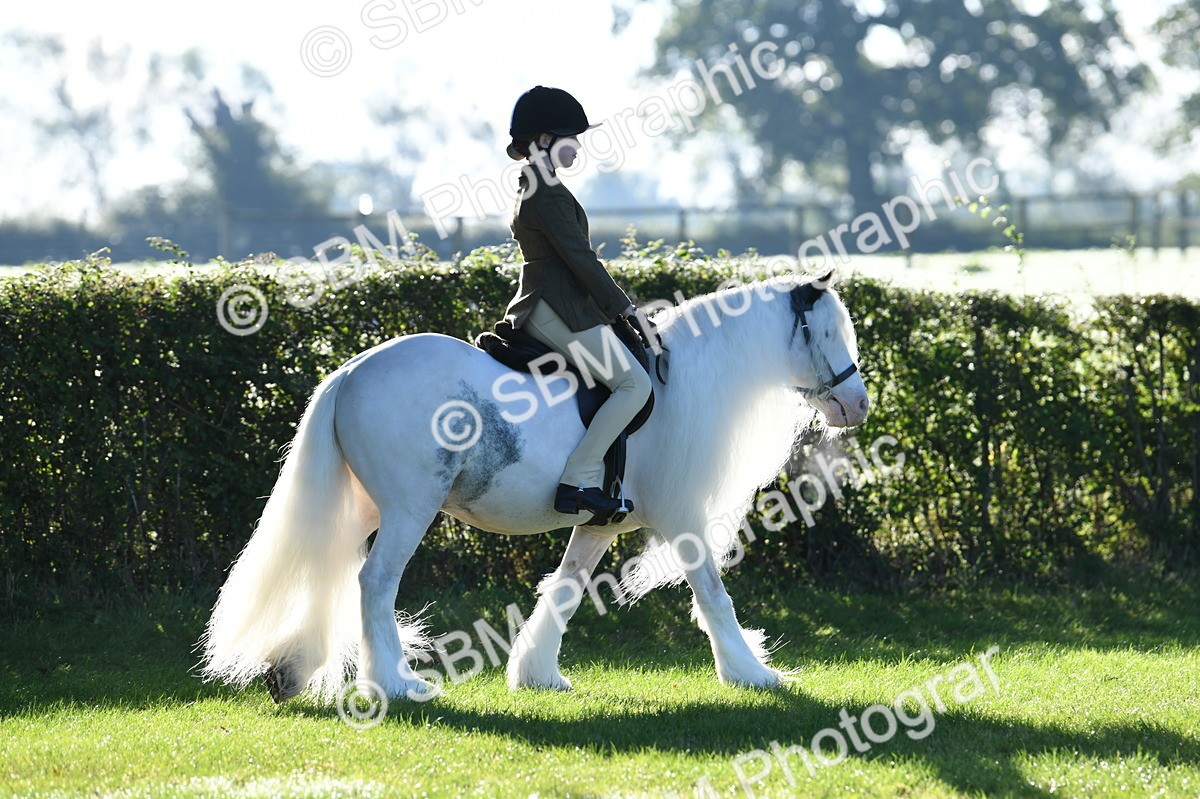 SBM_33859 - S16 - Condition & Turnout - Ridden