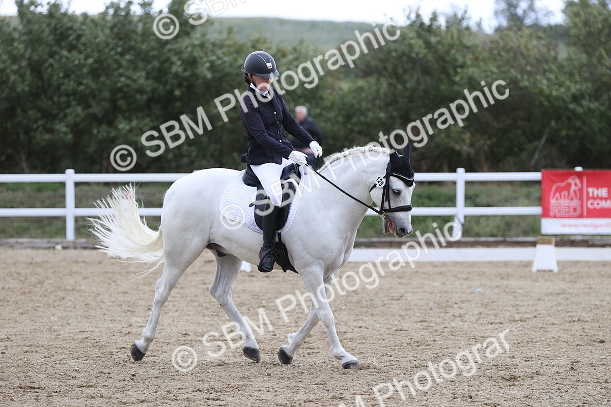 SBM_003990 - Class 9 - Novice 3 Champs