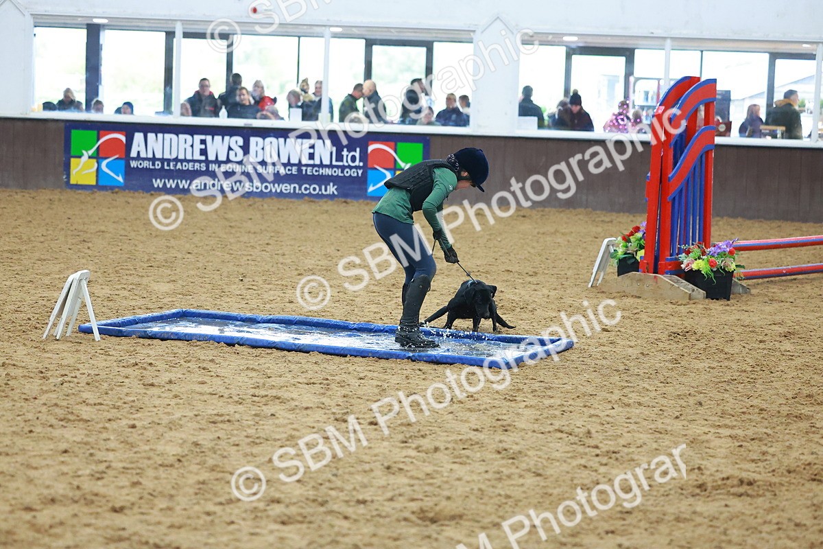 SBM_002413 - Class 3 - Horse & Hound (60cm)