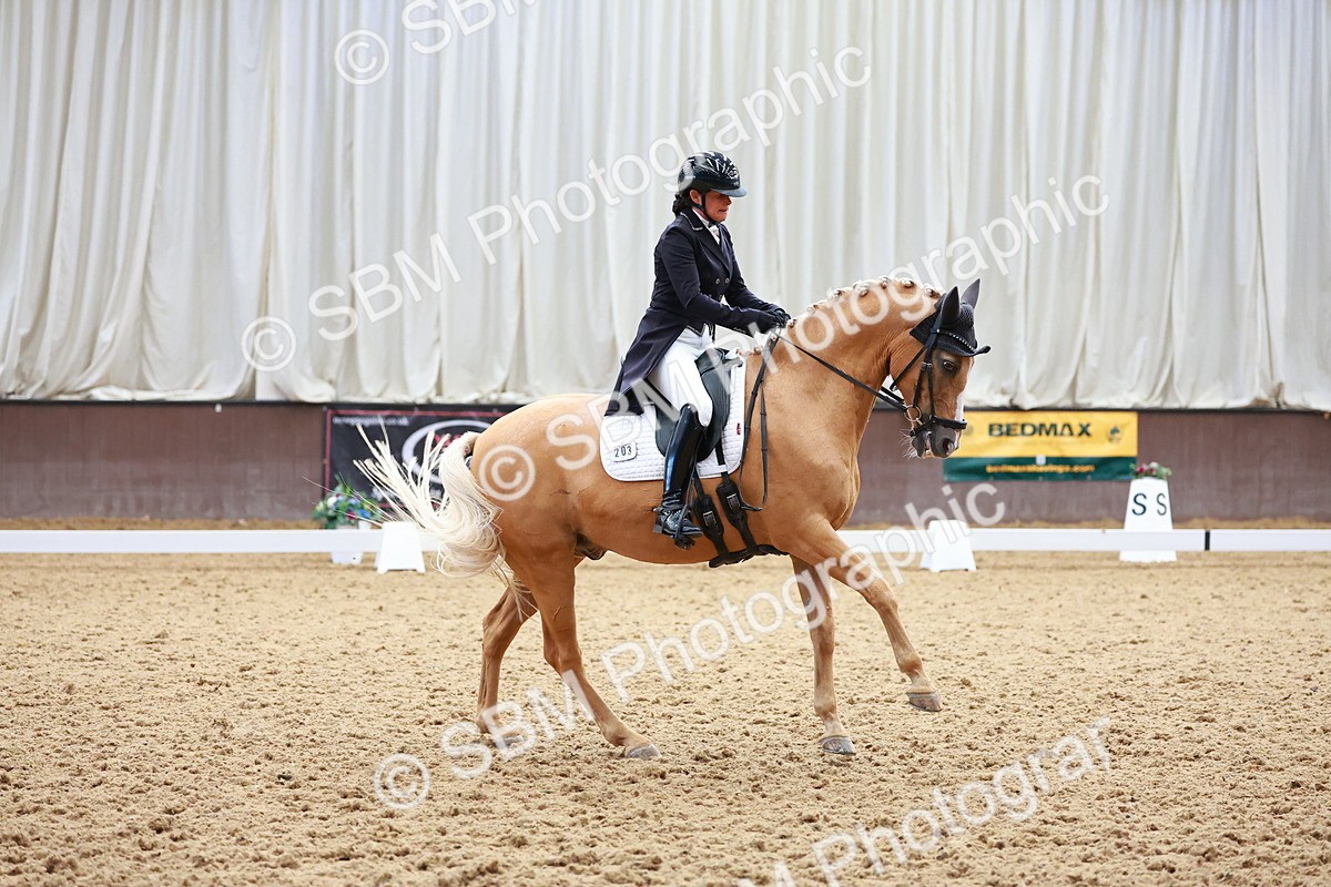 SBM_021311 - Class 25 - FEI PSG Bronze