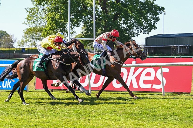 170525-Race 5-Mirsky-8511 - Race 5