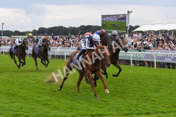 250823-Race 3-Lake Forest-0496 - Race 3 3.00pm Al Basti Equiworld Dubai Gimcrack Stakes