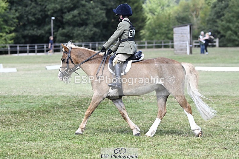 250822A-125016-21929 - DR 12.00 to End