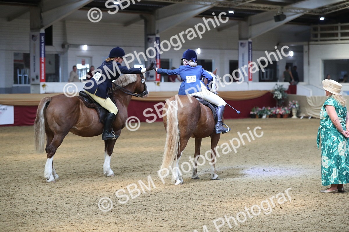 SBM_13749 - Class 109 Ridden Pairs - Section B