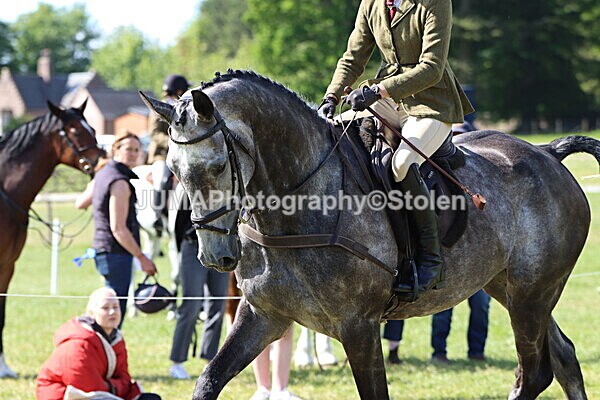 IMG_4841 - Working Hunter