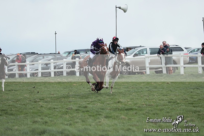 PtP 230324 70 - Tedworth Hunt PtP Larkhill Raccourse 23rd March 2024