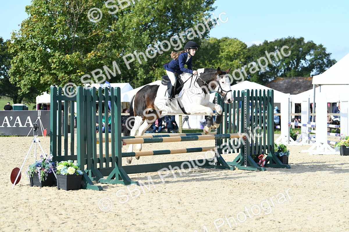 SBM_60698 - j25 - Junior Horse 80cm Championship