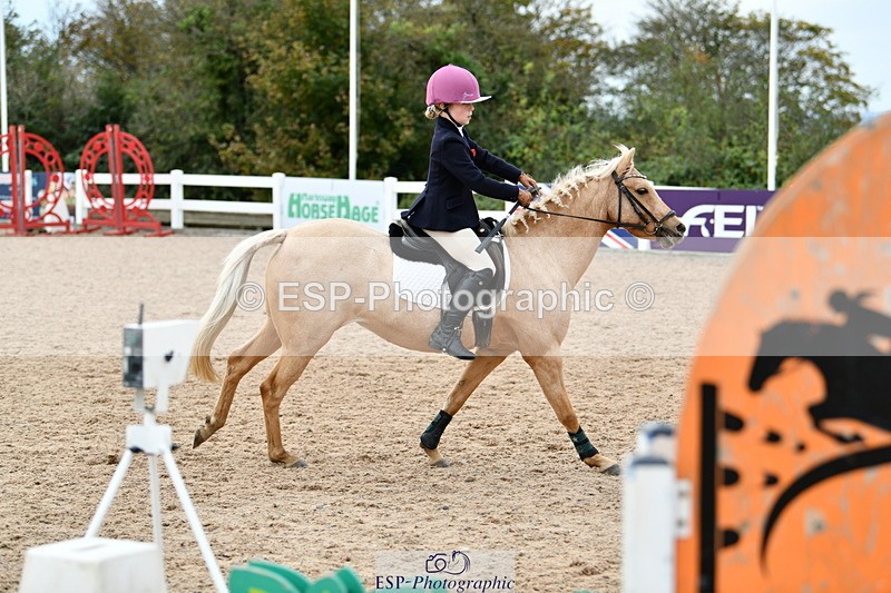 241013B-130841-01188 - Cls 3 50cm