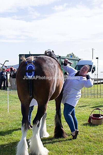 DSC_0166 - Ring 1