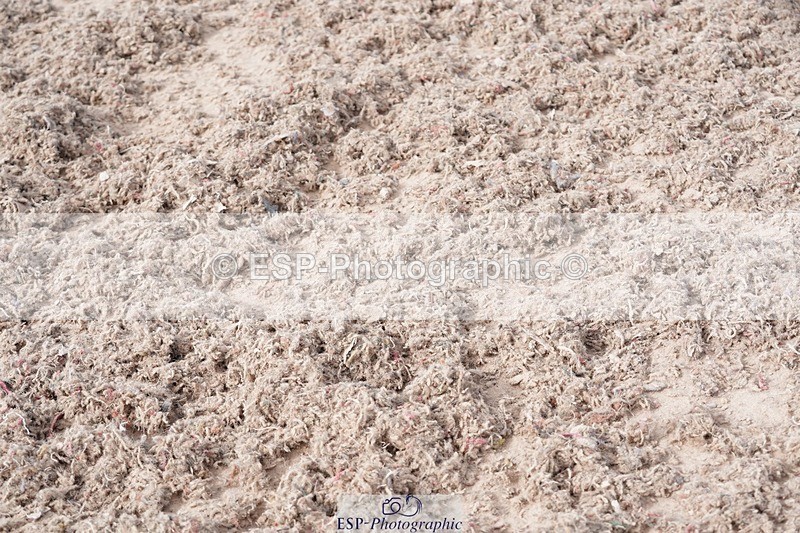 250505-092516-04081 - Cls 12 Stepping Stones