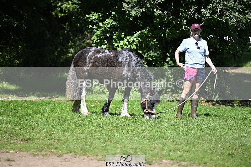 240728B-113840-00313 - Sunday Stable Shots and Fancy Dress