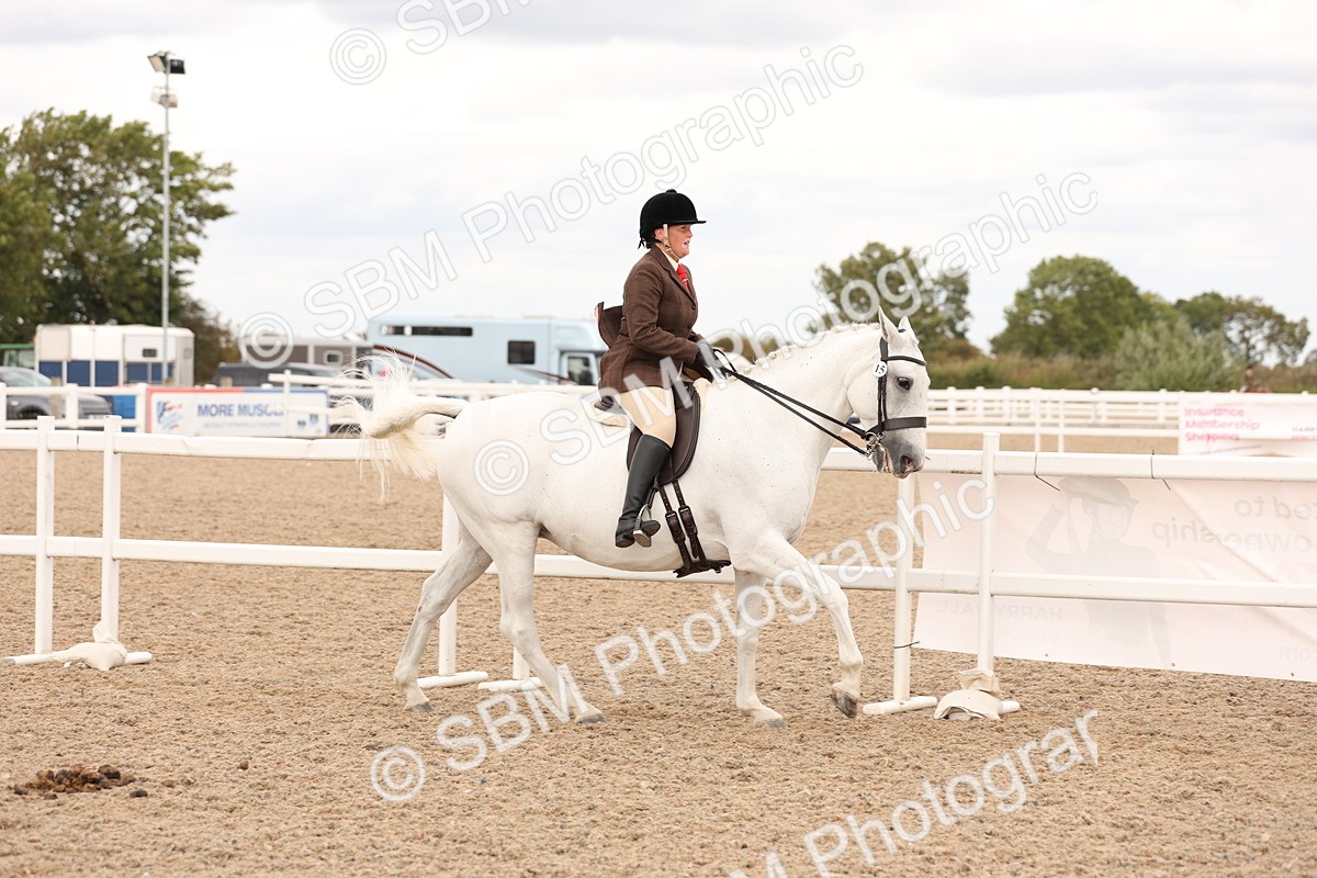 SBM_16490 - Class 212 - Ridden Hunter - Small