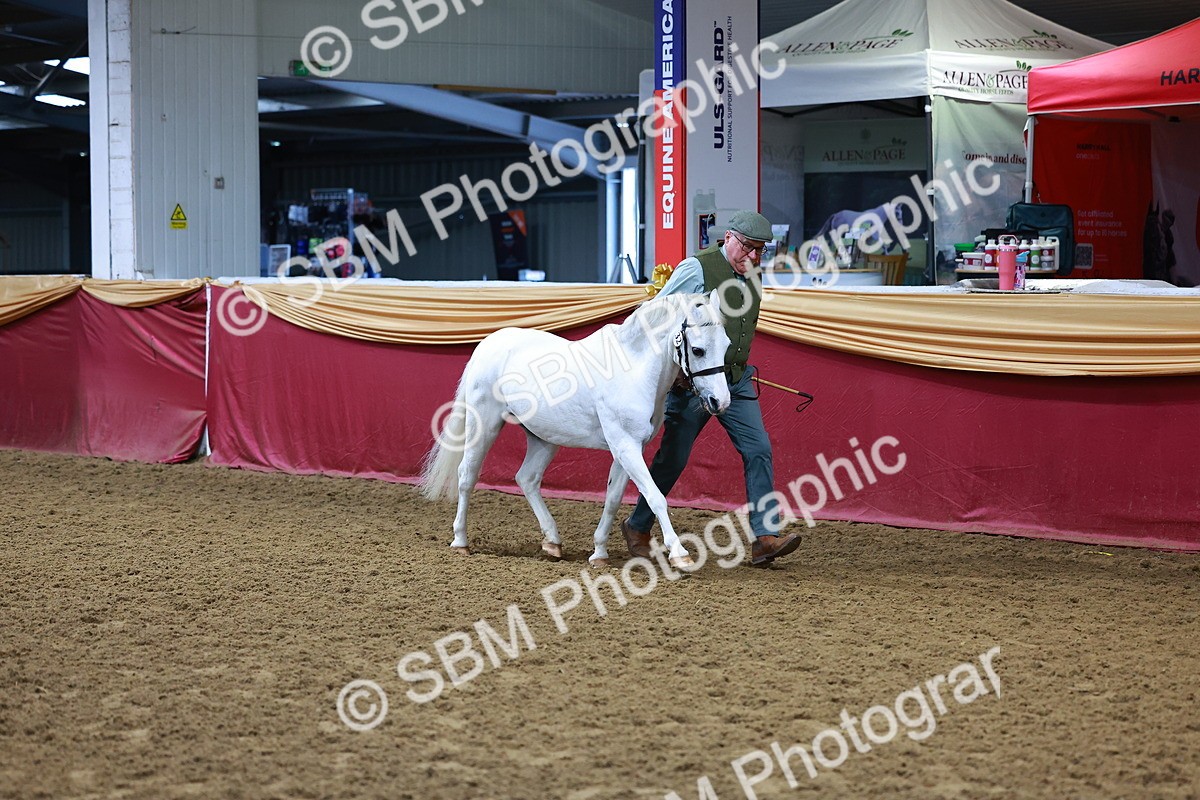 SBM_15981 - Class 901 - Sup Final - IH Diamond