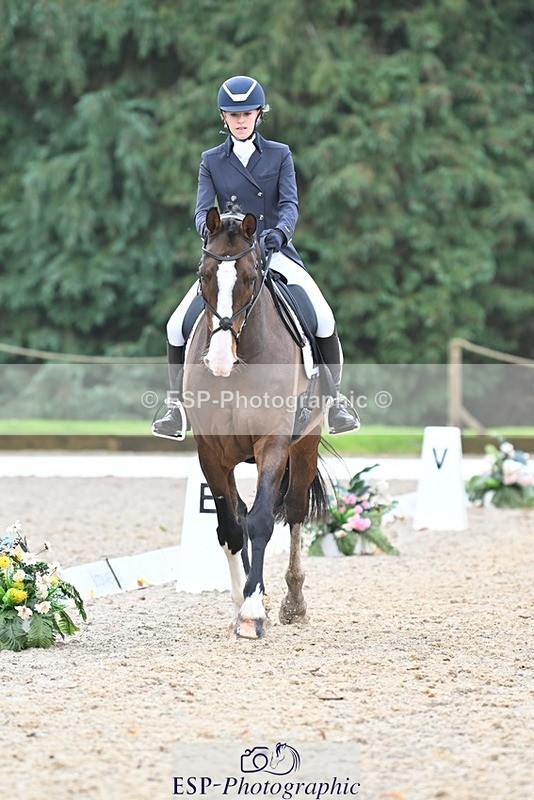 231019-104436-01947 - 103-BEECH.HILL.KIKO.CLOVER-Harriet.Blair-DR