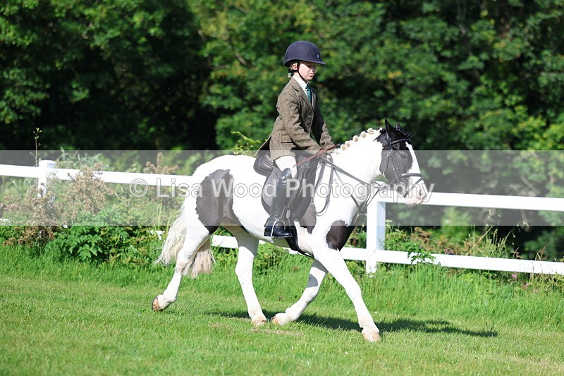 3E7A5969 - Class 27: Novice Working Hunter Pony