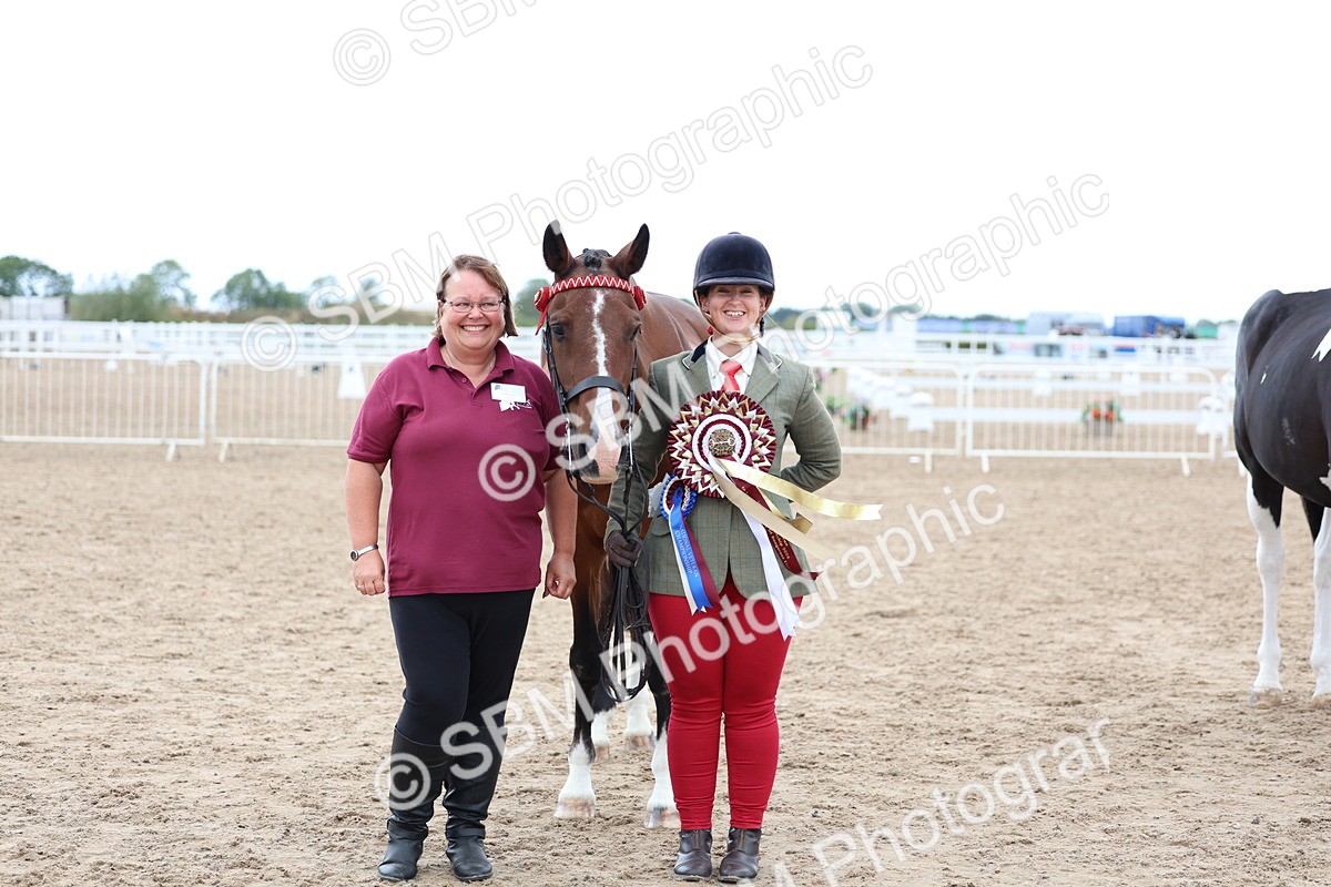 SBM_05149 - Class 27 - IH Competition Horse or Pony