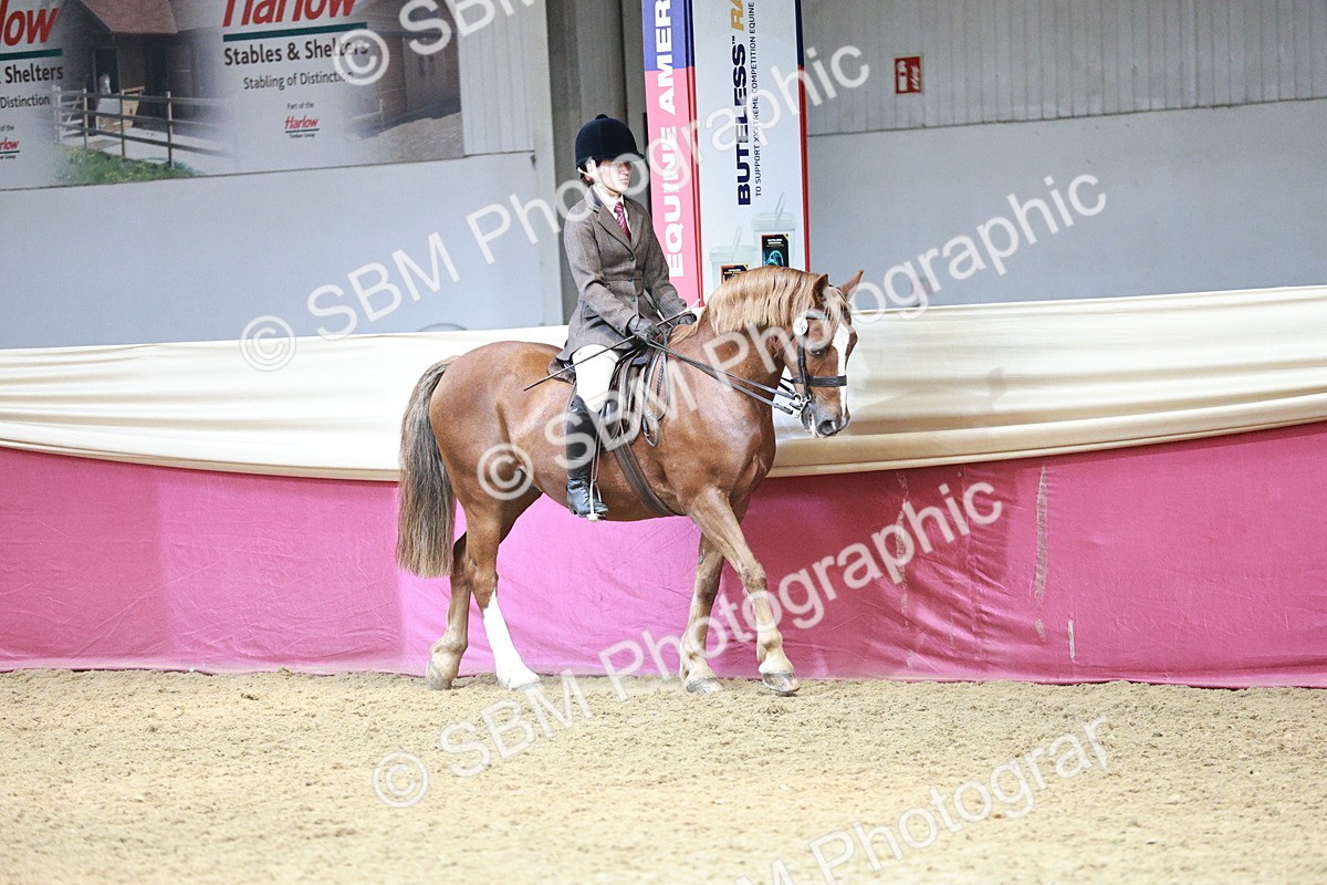 SBM_06969 - Class 10R - Regional Ridden Diamond